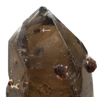 Spessartine Garnets on Self-Healed Smoky Manifestation Quartz: Rare Natural Crystal