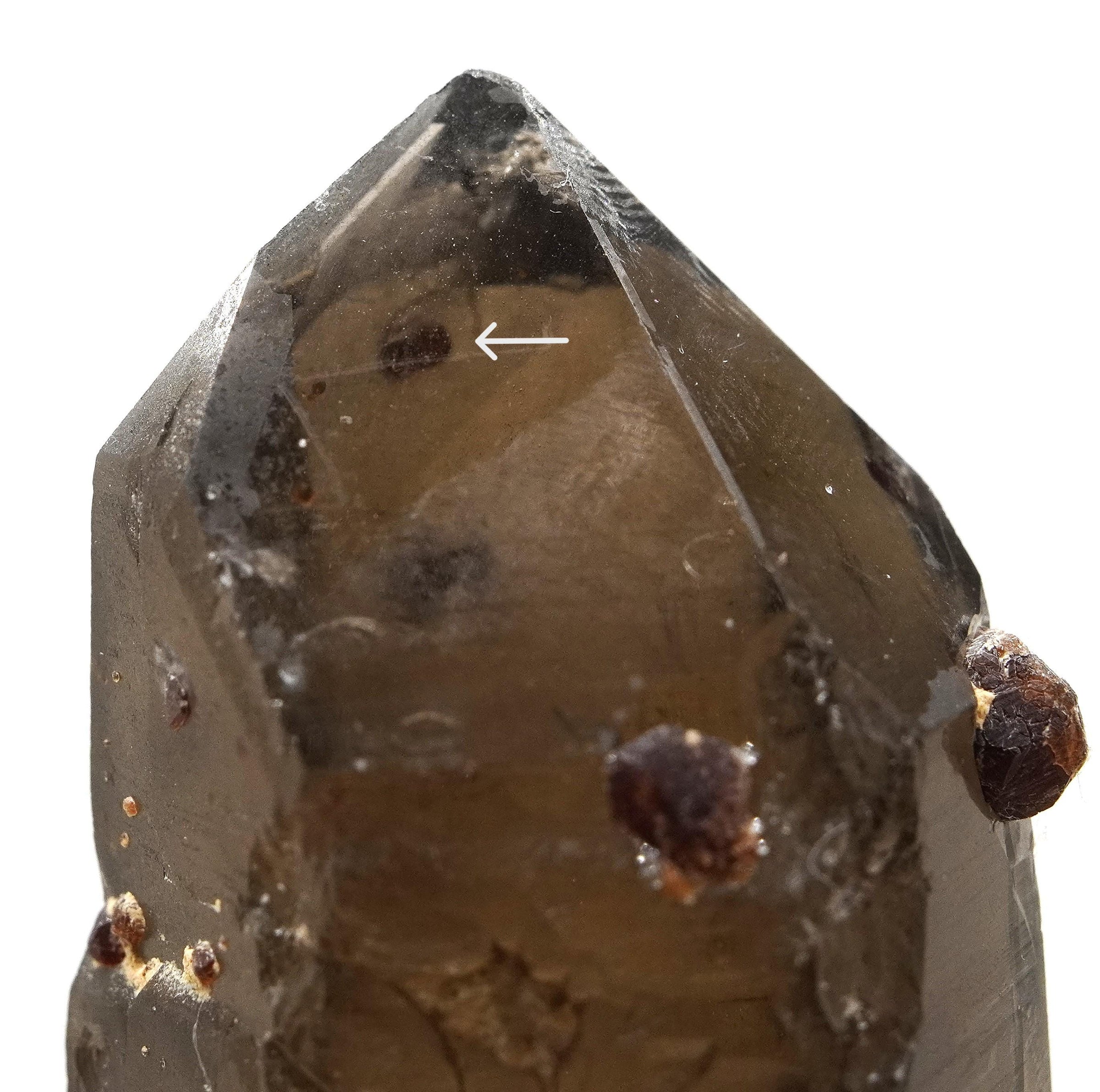 Spessartine Garnets on Self-Healed Smoky Manifestation Quartz: Rare Natural Crystal
