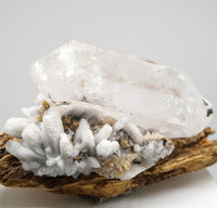 Brandberg DT with White Calcite Overgrowth: Ethically Hand-Mined Large Quartz Crystal