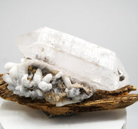 Brandberg DT with White Calcite Overgrowth: Ethically Hand-Mined Large Quartz Crystal