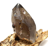 Spessartine Garnets on Self-Healed Smoky Manifestation Quartz: Rare Natural Crystal