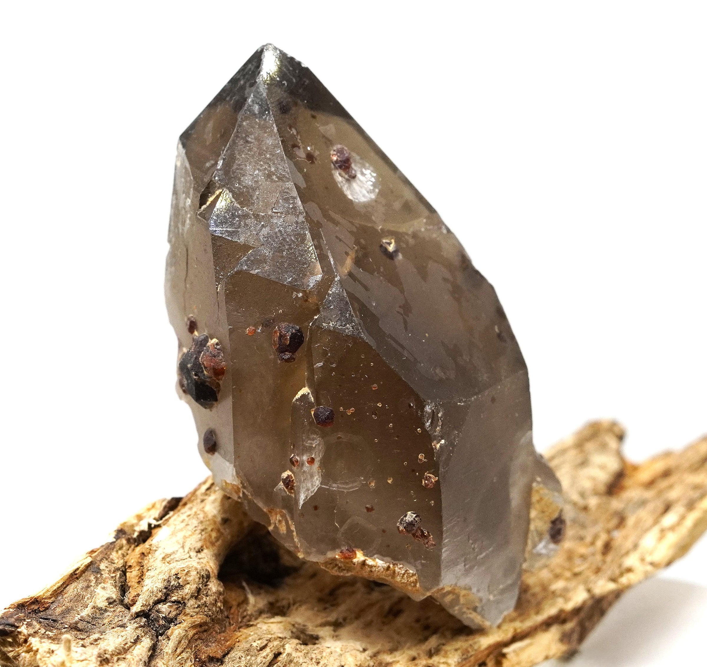 Spessartine Garnets on Self-Healed Smoky Manifestation Quartz: Rare Natural Crystal