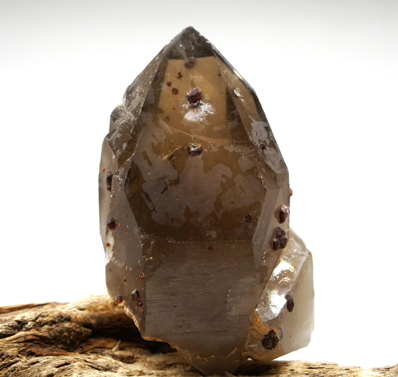 Spessartine Garnets on Self-Healed Smoky Manifestation Quartz: Rare Natural Crystal
