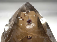 Spessartine Garnets on Self-Healed Smoky Manifestation Quartz: Rare Natural Crystal