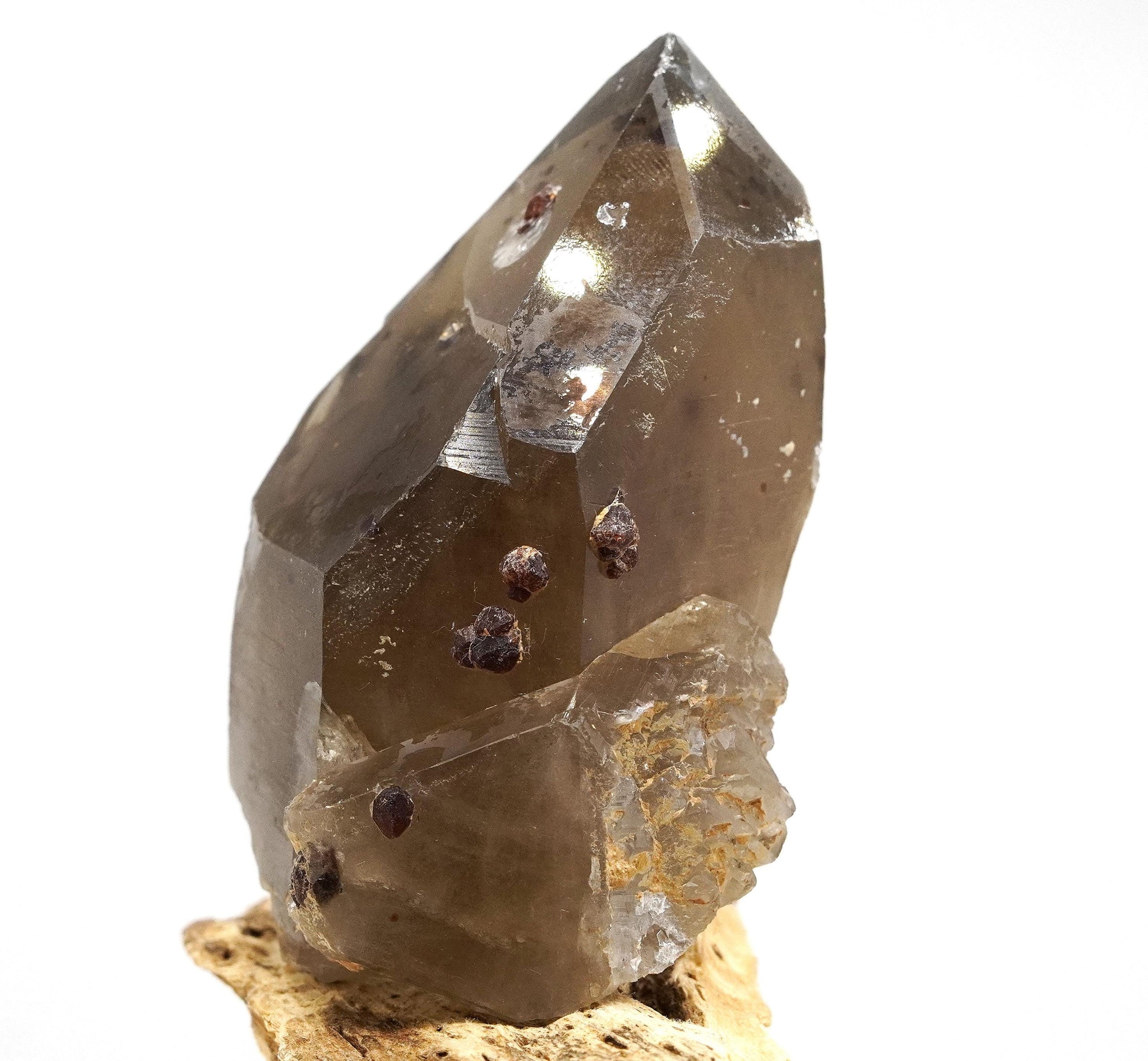 Spessartine Garnets on Self-Healed Smoky Manifestation Quartz: Rare Natural Crystal