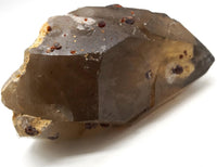 Spessartine Garnets on Self-Healed Smoky Manifestation Quartz: Rare Natural Crystal