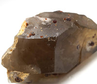 Spessartine Garnets on Self-Healed Smoky Manifestation Quartz: Rare Natural Crystal