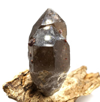 Spessartine Garnets on Self-Healed Smoky Manifestation Quartz: Rare Natural Crystal