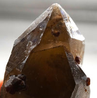 Spessartine Garnets on Self-Healed Smoky Manifestation Quartz: Rare Natural Crystal
