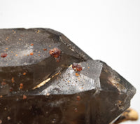 Spessartine Garnets on Self-Healed Smoky Manifestation Quartz: Rare Natural Crystal