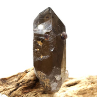 Spessartine Garnets on Self-Healed Smoky Manifestation Quartz: Rare Natural Crystal