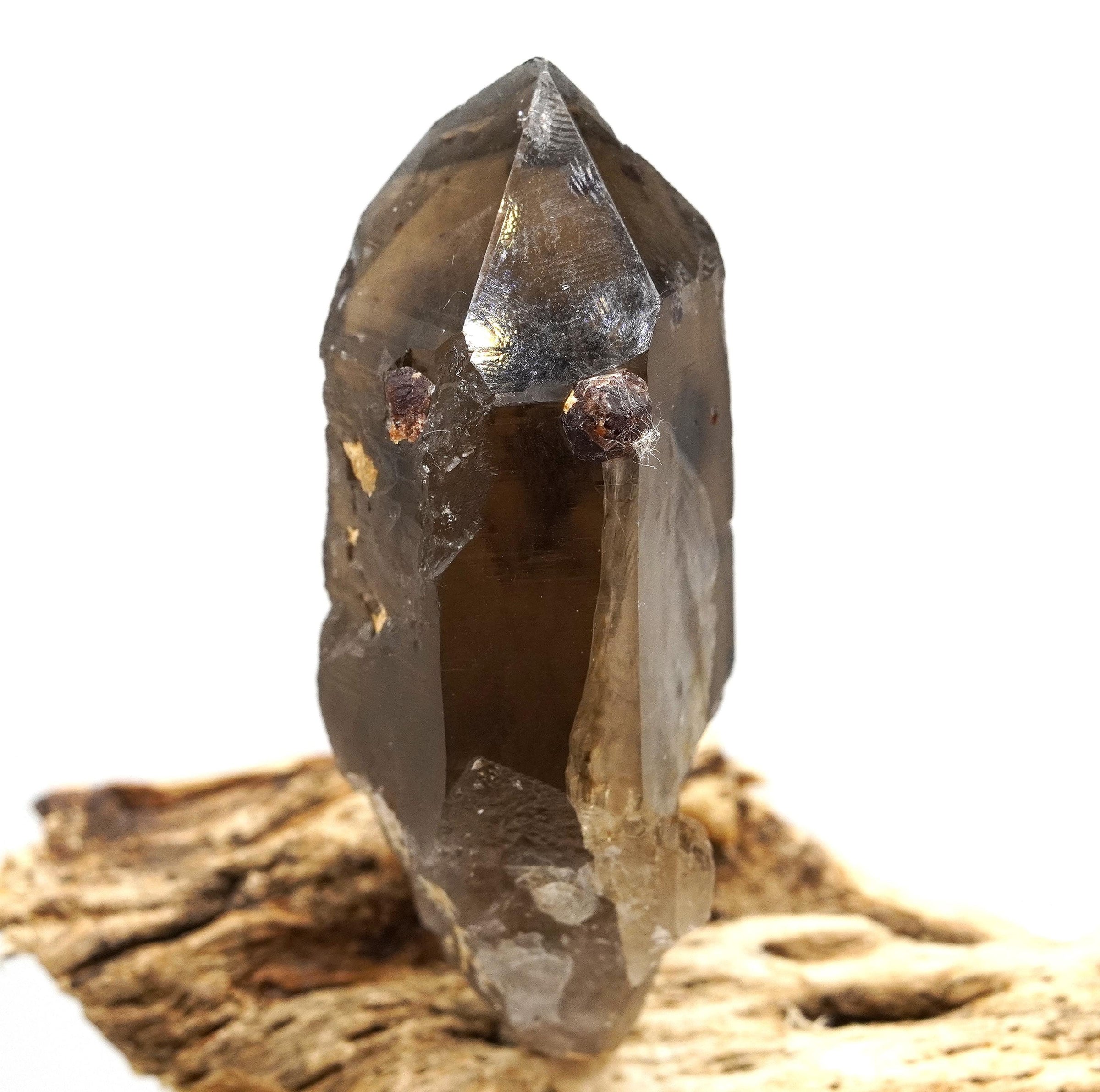 Spessartine Garnets on Self-Healed Smoky Manifestation Quartz: Rare Natural Crystal