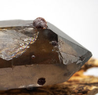 Spessartine Garnets on Self-Healed Smoky Manifestation Quartz: Rare Natural Crystal