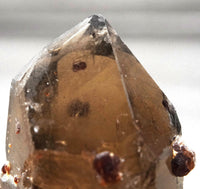Spessartine Garnets on Self-Healed Smoky Manifestation Quartz: Rare Natural Crystal