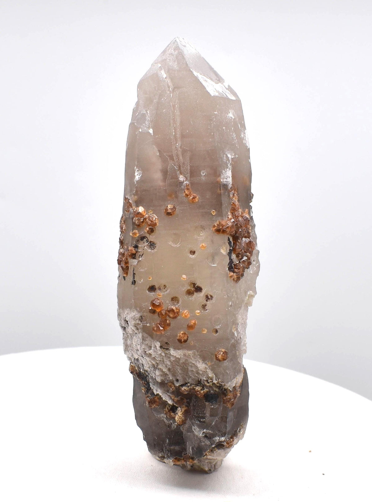 Spessartine Garnets on Self-Healed Smoky Manifestation Quartz: Rare Natural Crystal