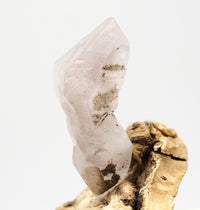 Omasheko Brandberg Self-Healed DT: Ethically Hand-Mined Natural Raw Crystal