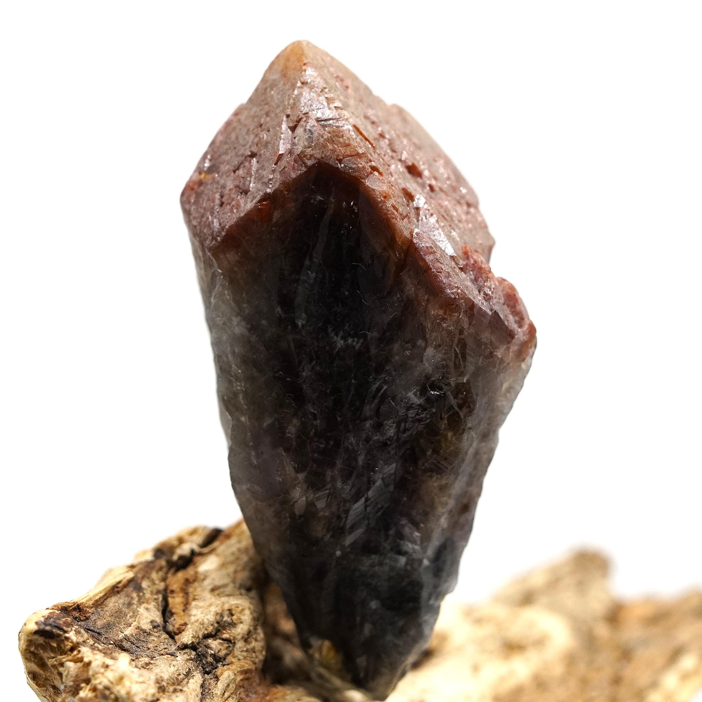 Auralite 23 Crystal: Ethically Mined in Canada, Healing Stone