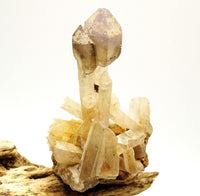 Brandberg Smoky & Amethyst Phantom Sceptre: Hand-Mined Raw Quartz Crystal