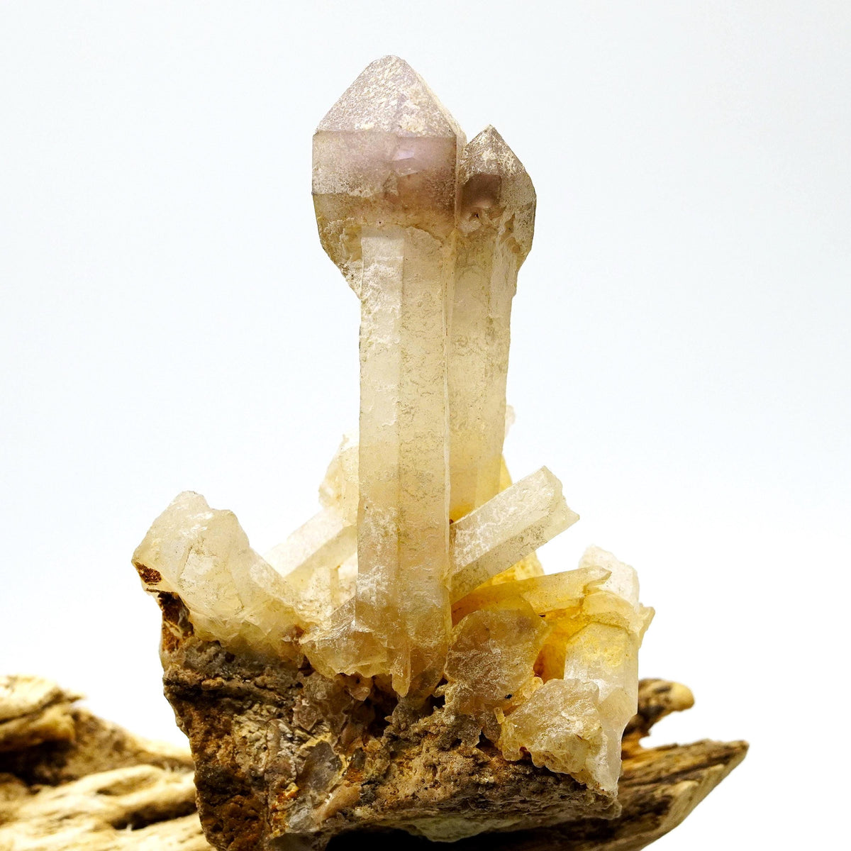 Brandberg Smoky & Amethyst Phantom Sceptre: Hand-Mined Raw Quartz Crystal