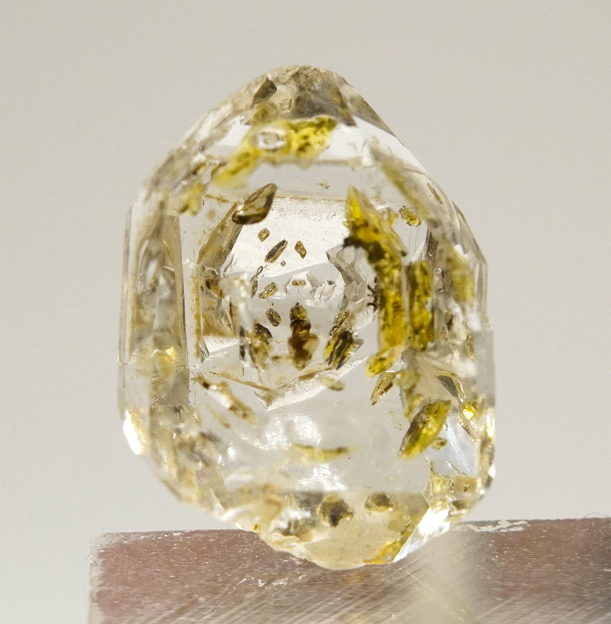 Golden Enhydro - Petroleum Quartz: Ethically Hand-Mined Himalayan Crystal