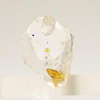 Golden Enhydro - Petroleum Quartz: Ethically Hand-Mined Himalayan Crystal