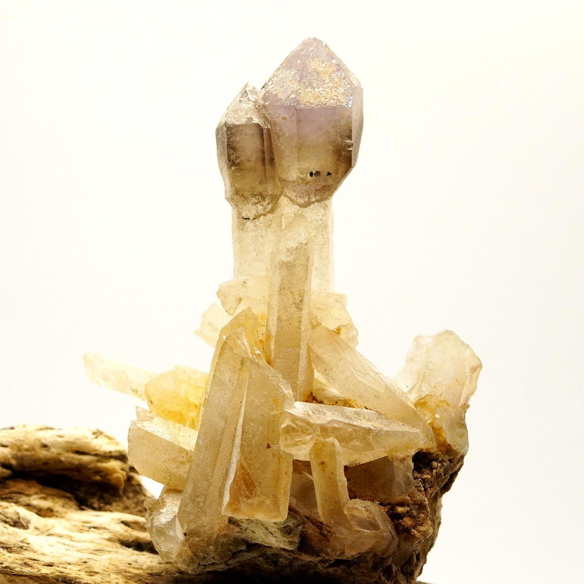 Brandberg Smoky & Amethyst Phantom Sceptre: Hand-Mined Raw Quartz Crystal