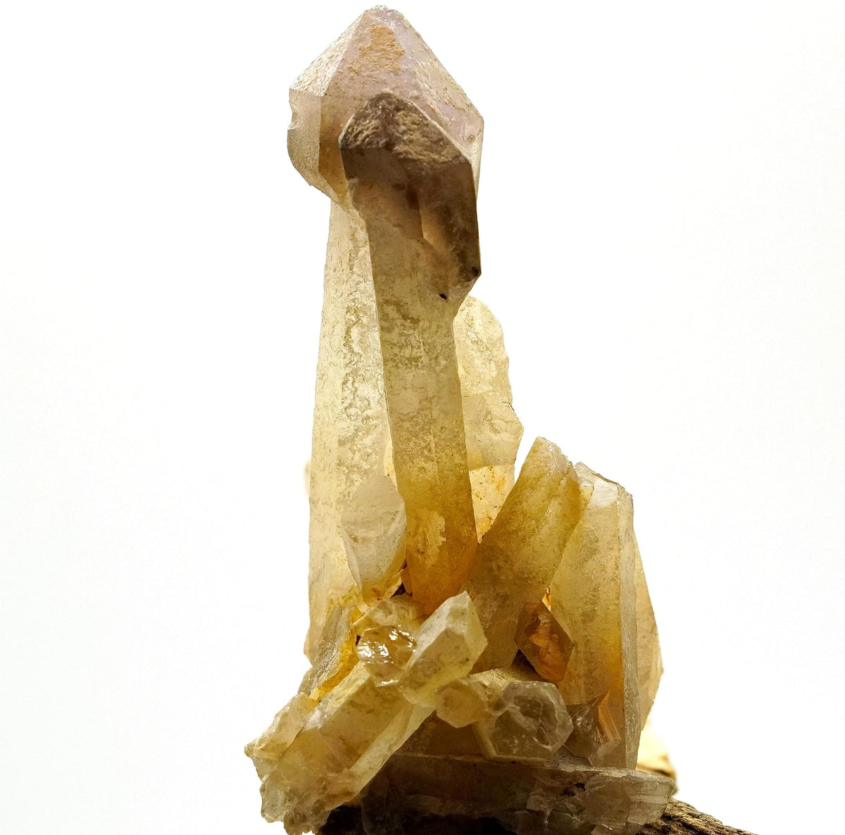 Brandberg Smoky & Amethyst Phantom Sceptre: Hand-Mined Raw Quartz Crystal