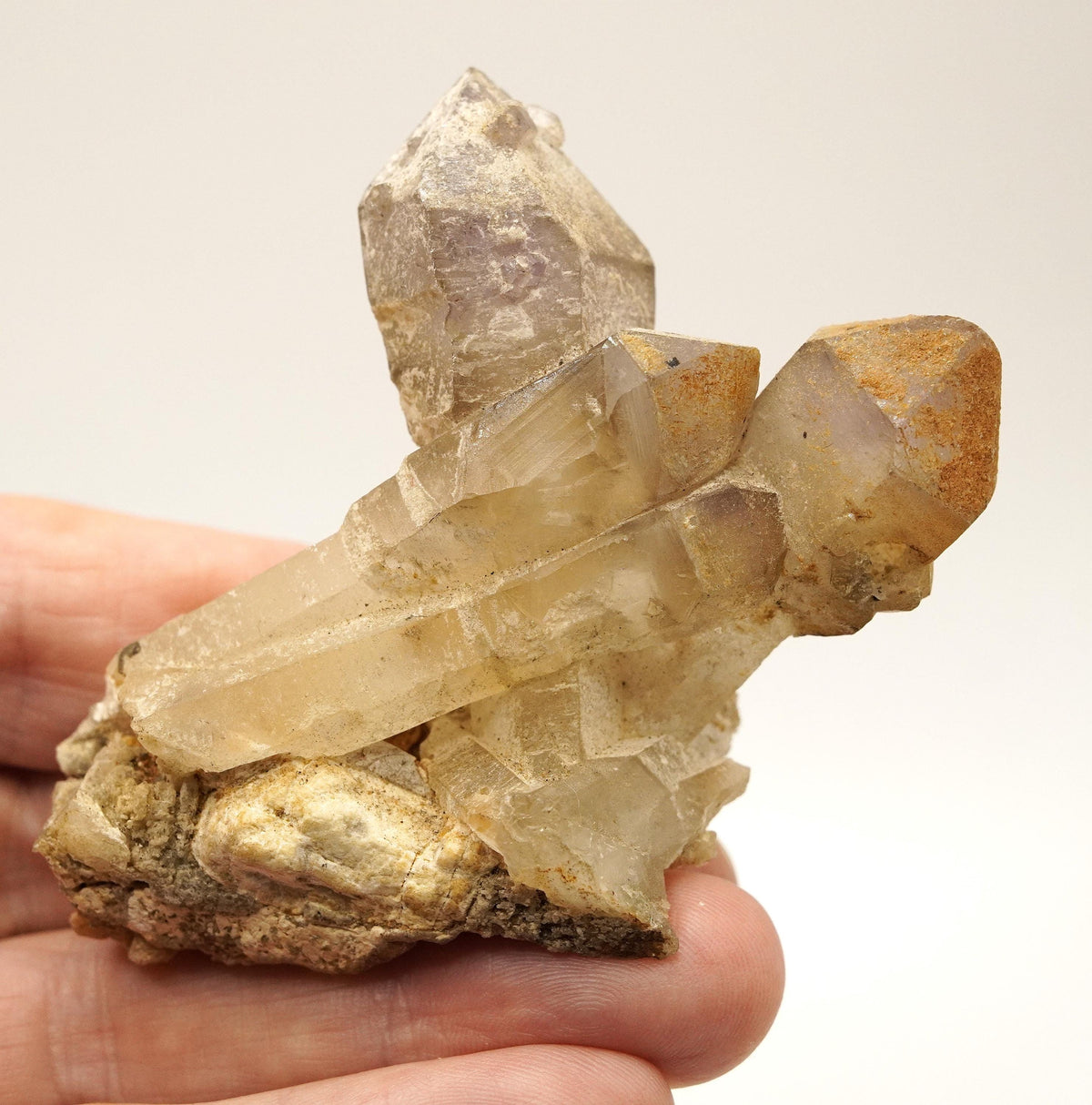 Brandberg Smoky & Amethyst Sceptre: Hand-Mined Raw Quartz Crystal