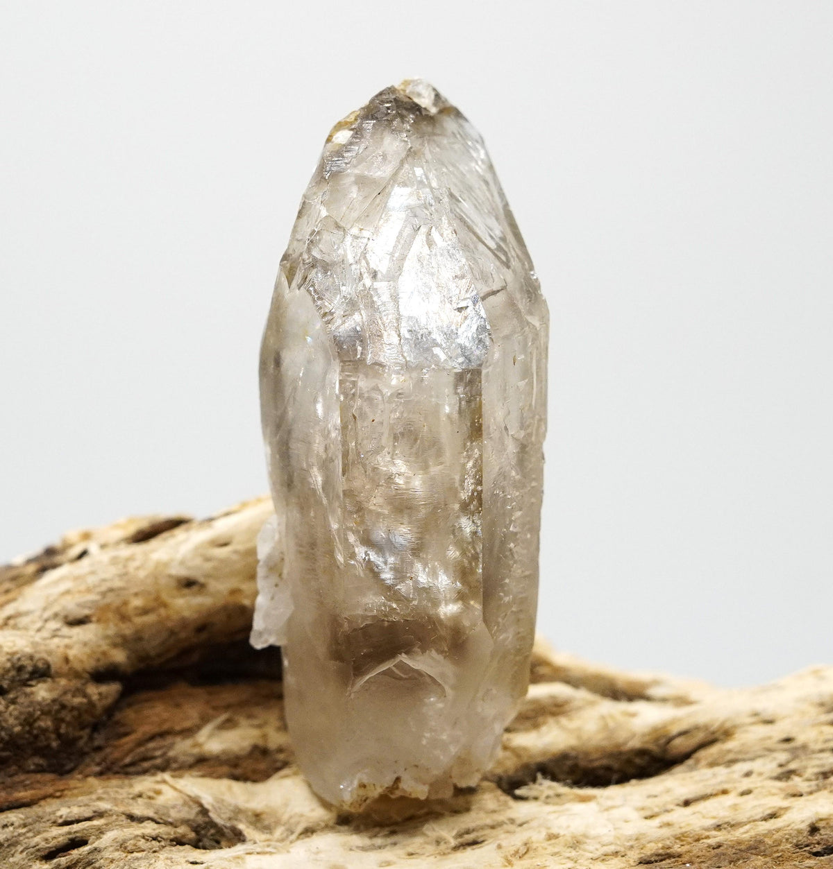 Omapeleki Smoky Brandberg Enhydro DT: Hand-Mined Raw Crystal