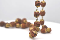 Natural Rudrakshas in Brass