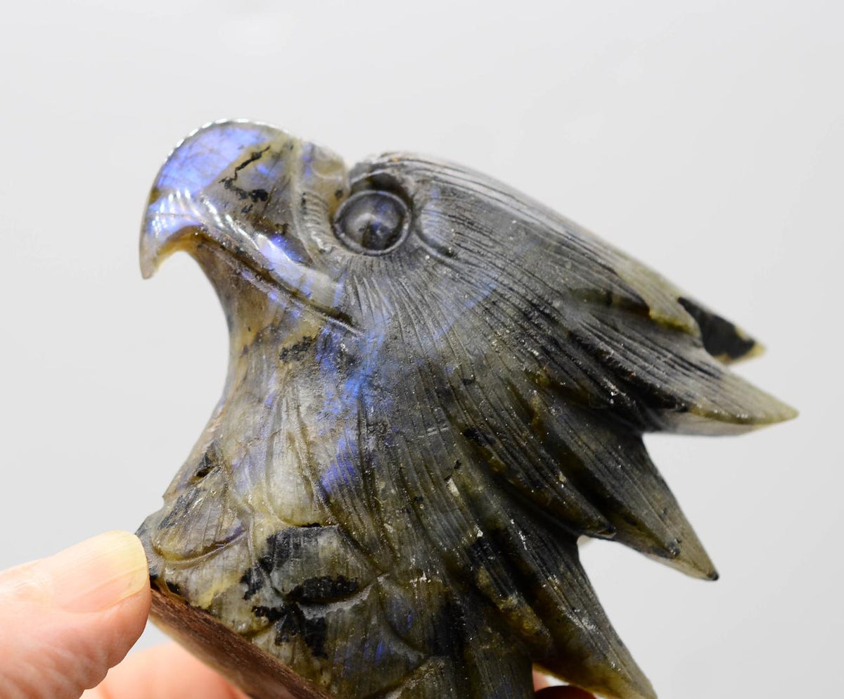 Blue Flash Labradorite Eagle