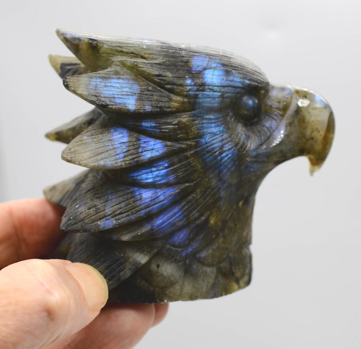 Blue Flash Labradorite Eagle