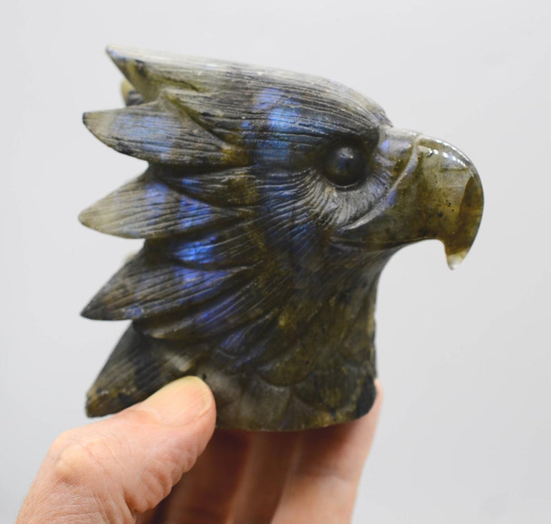 Blue Flash Labradorite Eagle