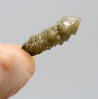 Mongolian Elestial Green Quartz Generator Sceptres with Hedenbergite - Small