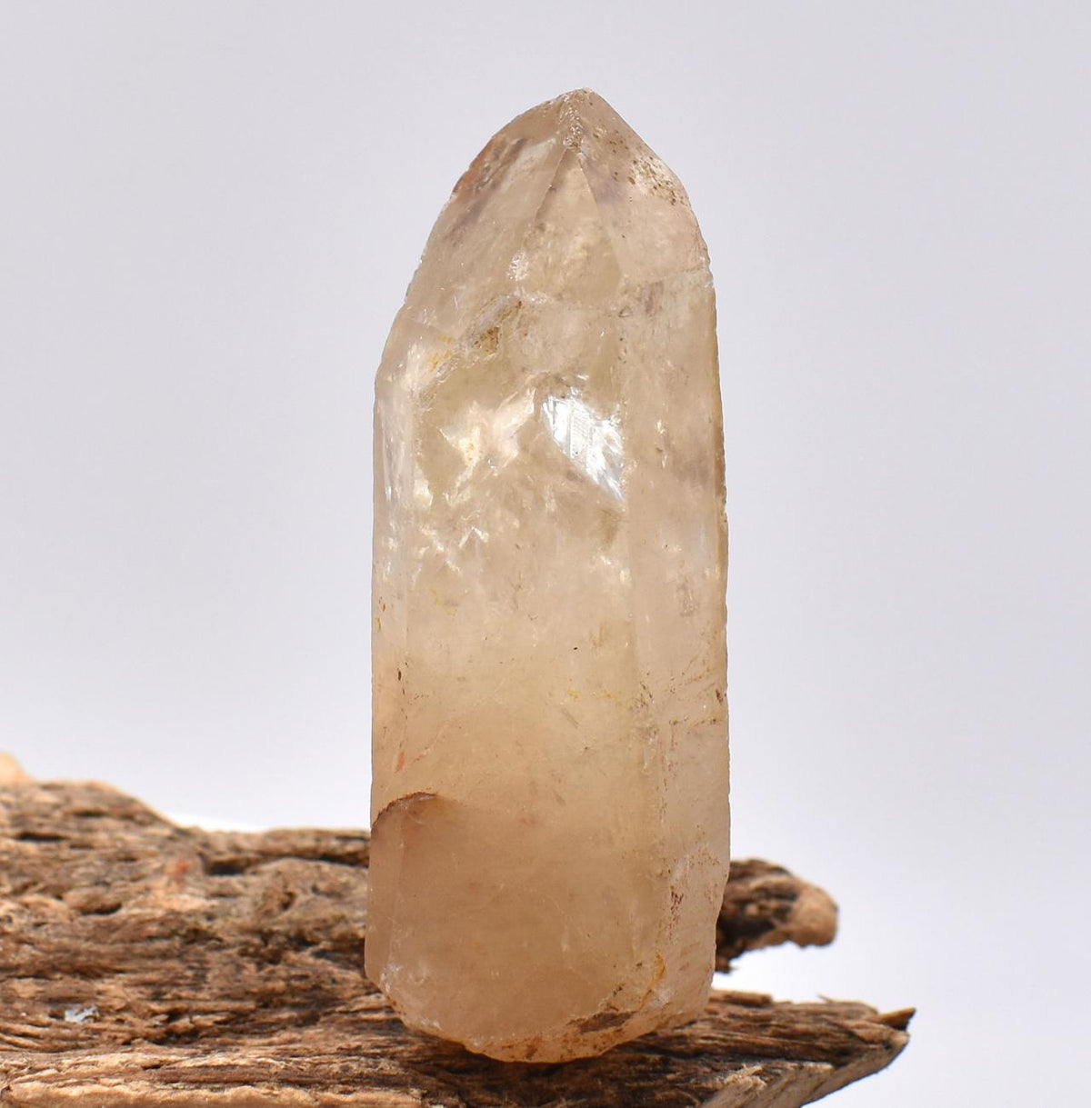 Natural Congo Citrine ~ Kundalini Quartz