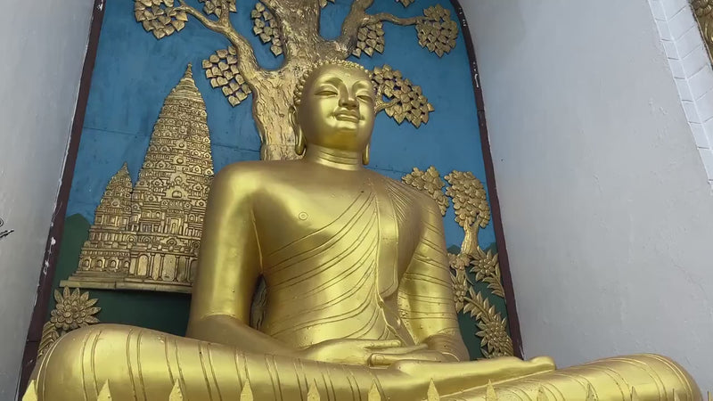 Organic Vietnamese Oud Incense Cones ~ Natural Agarwood Incense