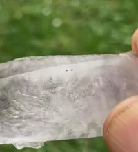 Brandberg Self-Healed to DT Enhydro