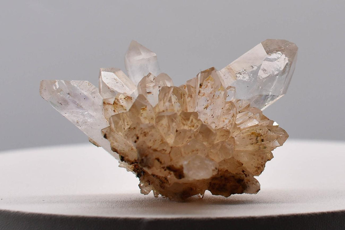 Brandberg Quartz Star Cluster