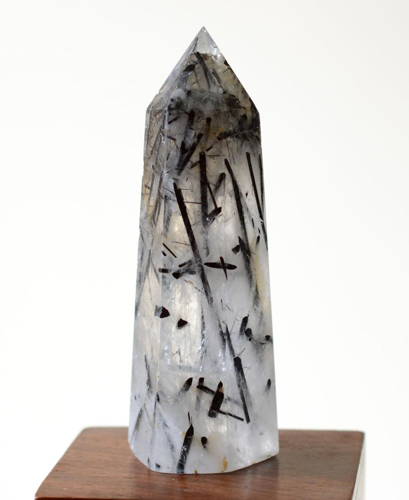 Black Tourmaline in Himalayan Generator Quartz