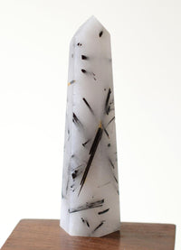 Black Tourmaline in Himalayan Generator Quartz