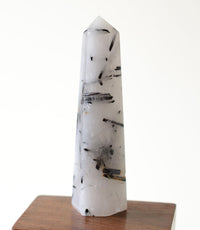 Black Tourmaline in Himalayan Generator Quartz