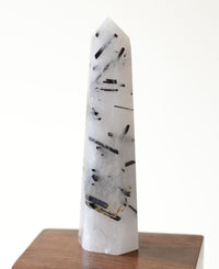 Black Tourmaline in Himalayan Generator Quartz