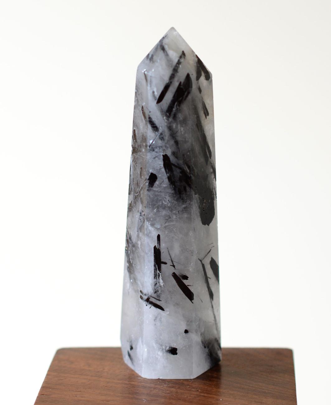 Black Tourmaline in Himalayan Generator Quartz