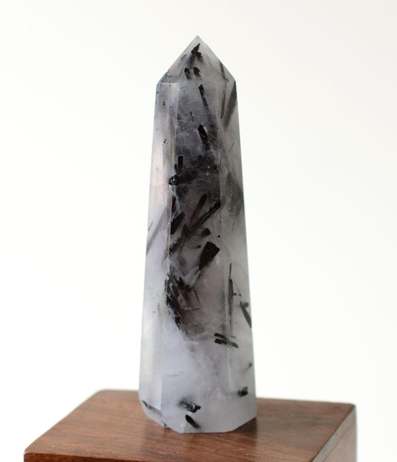 Black Tourmaline in Himalayan Generator Quartz