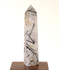 Black Tourmaline in Himalayan Generator Quartz