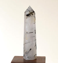 Black Tourmaline in Himalayan Generator Quartz