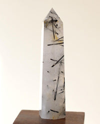 Black Tourmaline in Himalayan Generator Quartz