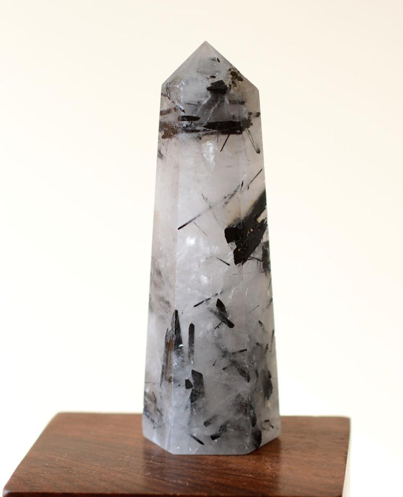 Black Tourmaline in Himalayan Generator Quartz