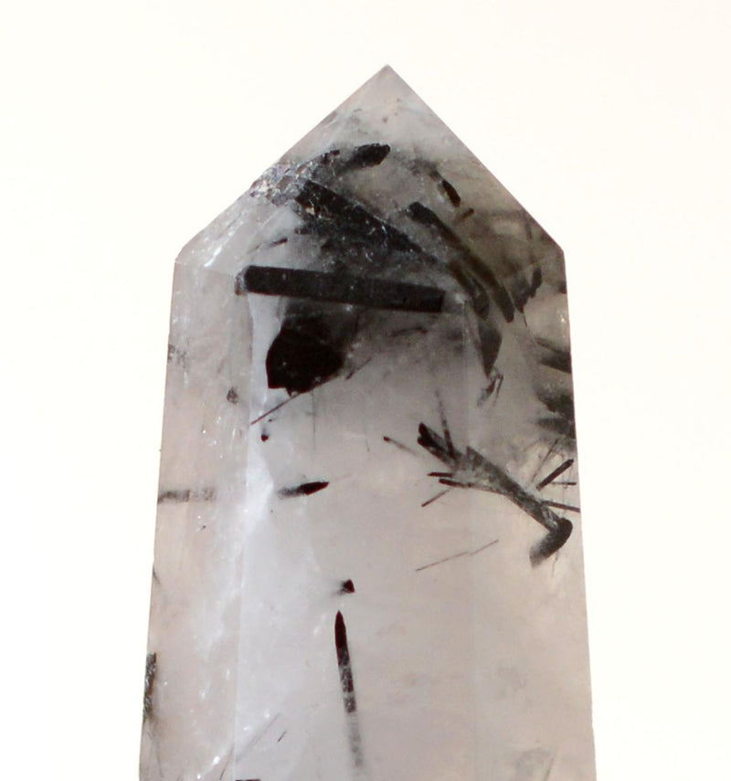 Black Tourmaline in Himalayan Generator Quartz