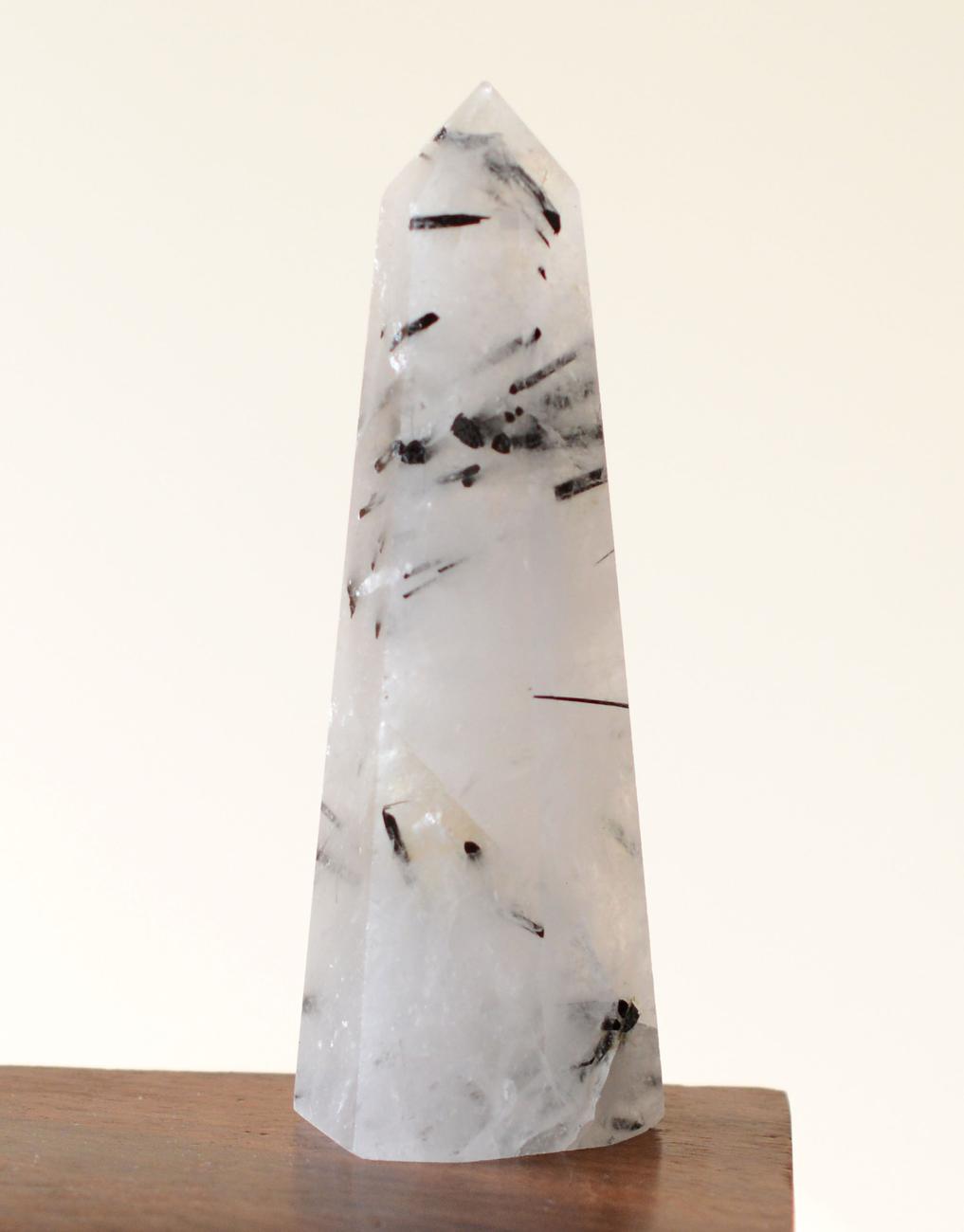 Black Tourmaline in Himalayan Generator Quartz